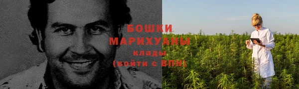 бошки Переславль-Залесский