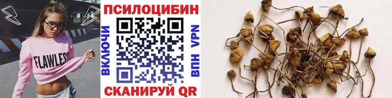 Галлюциногенные грибы мицелий  купить  цена  мега как войти  Петухово 